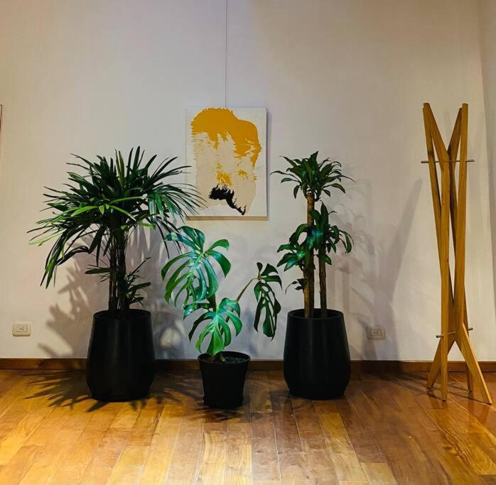 Arts Loft, A Estrenar! Buenos Aires Lägenhet Exteriör bild